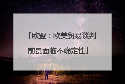 欧盟：欧美贸易谈判前景面临不确定性